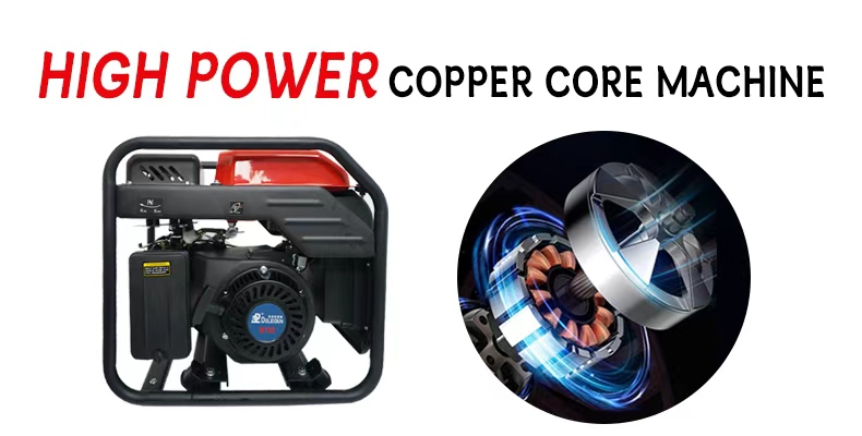 110V/220V 