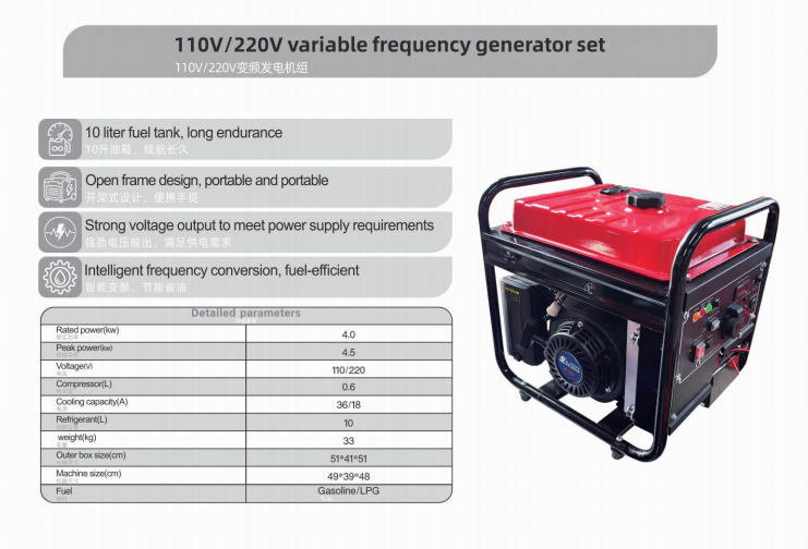 110V/220V 